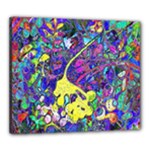 vibrant abstract floral/rainbow color Canvas 24  x 20  (Stretched)