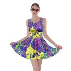 Skater Dress 