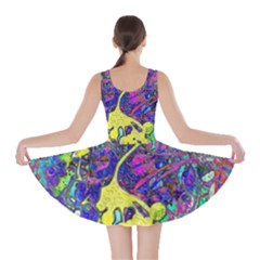 Skater Dress 