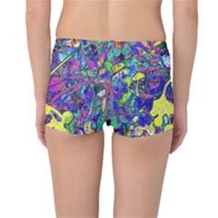 Boyleg Bikini Bottoms Back