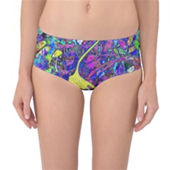 Mid-Waist Bikini Bottoms 