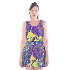 Scoop Neck Skater Dress 