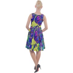 Knee Length Skater Dress 