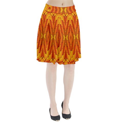Golden 25 Pleated Skirt from ArtsNow.com