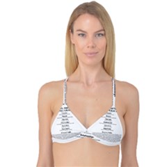 Reversible Tri Bikini Top 
