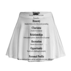 Mini Flare Skirt 