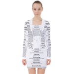 Annette V-neck Bodycon Long Sleeve Dress