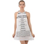 Annette Halter Tie Back Chiffon Dress