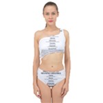 Annette Spliced Up Two Piece Swimsuit