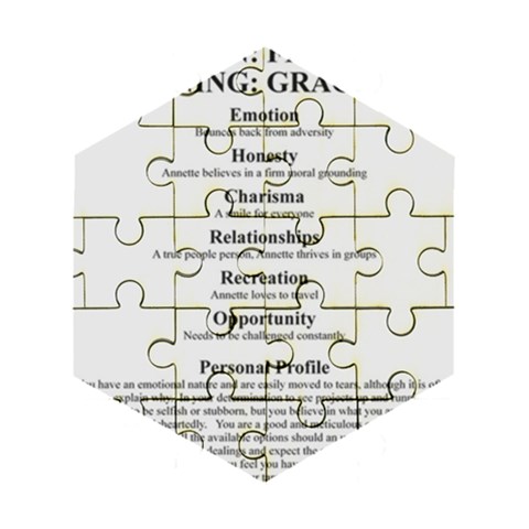Annette Wooden Puzzle Hexagon from ArtsNow.com