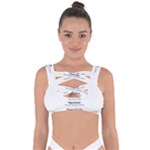 Annette Bandaged Up Bikini Top