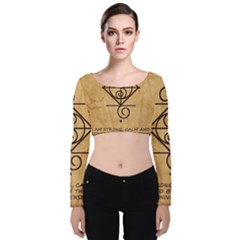 Velvet Long Sleeve Crop Top 