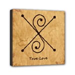 True Love Mini Canvas 6  x 6  (Stretched)