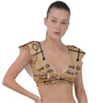 Only Good Shall Enter This House Plunge Frill Sleeve Bikini Top