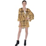 Only Good Shall Enter This House V-Neck Flare Sleeve Mini Dress