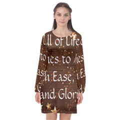 Long Sleeve Chiffon Shift Dress  