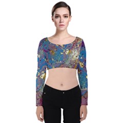 Velvet Long Sleeve Crop Top 