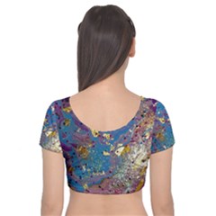 Velvet Short Sleeve Crop Top  