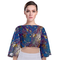 Tie Back Butterfly Sleeve Chiffon Top 