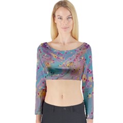 Long Sleeve Crop Top 
