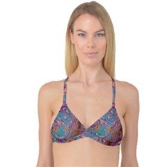 Reversible Tri Bikini Top 