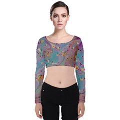 Velvet Long Sleeve Crop Top 