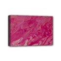 Mini Canvas 6  x 4  (Stretched) 