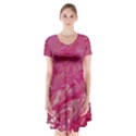 Short Sleeve V-neck Flare Dress 