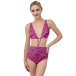 My Pour Cup Painting CBDOilPrincess 5ccf1e57-fc80-4e9f-bf46-a93057c672a9 Tied Up Two Piece Swimsuit