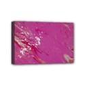 Mini Canvas 6  x 4  (Stretched) 