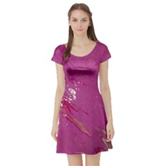 Short Sleeve Skater Dress Front Short Sleeve Skater Dress Front