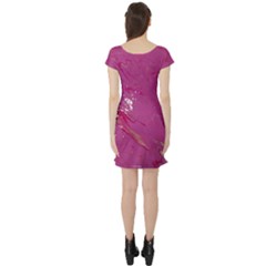 Short Sleeve Skater Dress Back Short Sleeve Skater Dress Back
