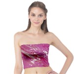 My Pour Cup Painting CBDOilPrincess E6d0aa64-0a00-4bb0-9d64-d9c98a867acf Tube Top