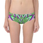 Purple Green White Marijuana Leaves CBDOilPrincess 726130cb-4fcc-4da8-acfb-52b94836ba03 Classic Bikini Bottoms