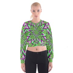 Cropped Sweatshirt 
