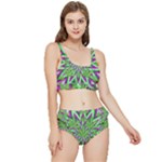 Purple Green White Marijuana Leaves CBDOilPrincess 726130cb-4fcc-4da8-acfb-52b94836ba03 Frilly Bikini Set