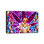 Psychedelic Meditation  CBDOilPrincess  71bfb2da-e92a-4d84-8ee3-468fa9cd04c2 Mini Canvas 6  x 4  (Stretched)