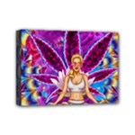 Psychedelic Meditation  CBDOilPrincess  71bfb2da-e92a-4d84-8ee3-468fa9cd04c2 Mini Canvas 7  x 5  (Stretched)