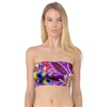 Psychedelic Meditation  CBDOilPrincess  71bfb2da-e92a-4d84-8ee3-468fa9cd04c2 Bandeau Top