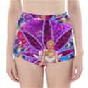 High-Waisted Bikini Bottoms 