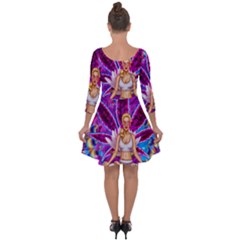 Quarter Sleeve Skater Dress 
