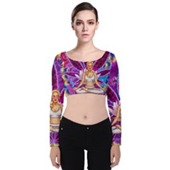 Velvet Long Sleeve Crop Top 