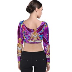 Velvet Long Sleeve Crop Top 