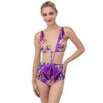 Psychedelic Meditation  CBDOilPrincess  71bfb2da-e92a-4d84-8ee3-468fa9cd04c2 Tied Up Two Piece Swimsuit