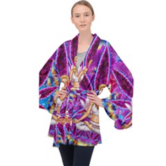 Long Sleeve Velvet Kimono  
