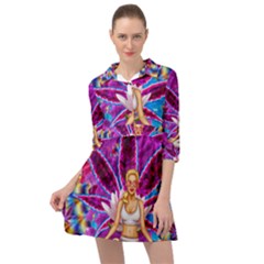 Mini Skater Shirt Dress 