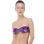 Psychedelic Meditation  CBDOilPrincess  71bfb2da-e92a-4d84-8ee3-468fa9cd04c2 Classic Bandeau Bikini Top 