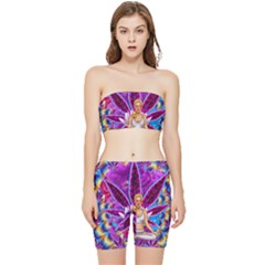 Stretch Shorts and Tube Top Set 
