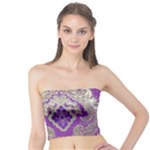 Purple & Gold  CBDOilPrincess E70d1a7c-502f-48a3-839e-eea25bfe4633 Tube Top