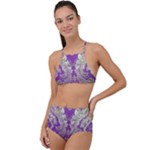 Purple & Gold  CBDOilPrincess E70d1a7c-502f-48a3-839e-eea25bfe4633 High Waist Tankini Set